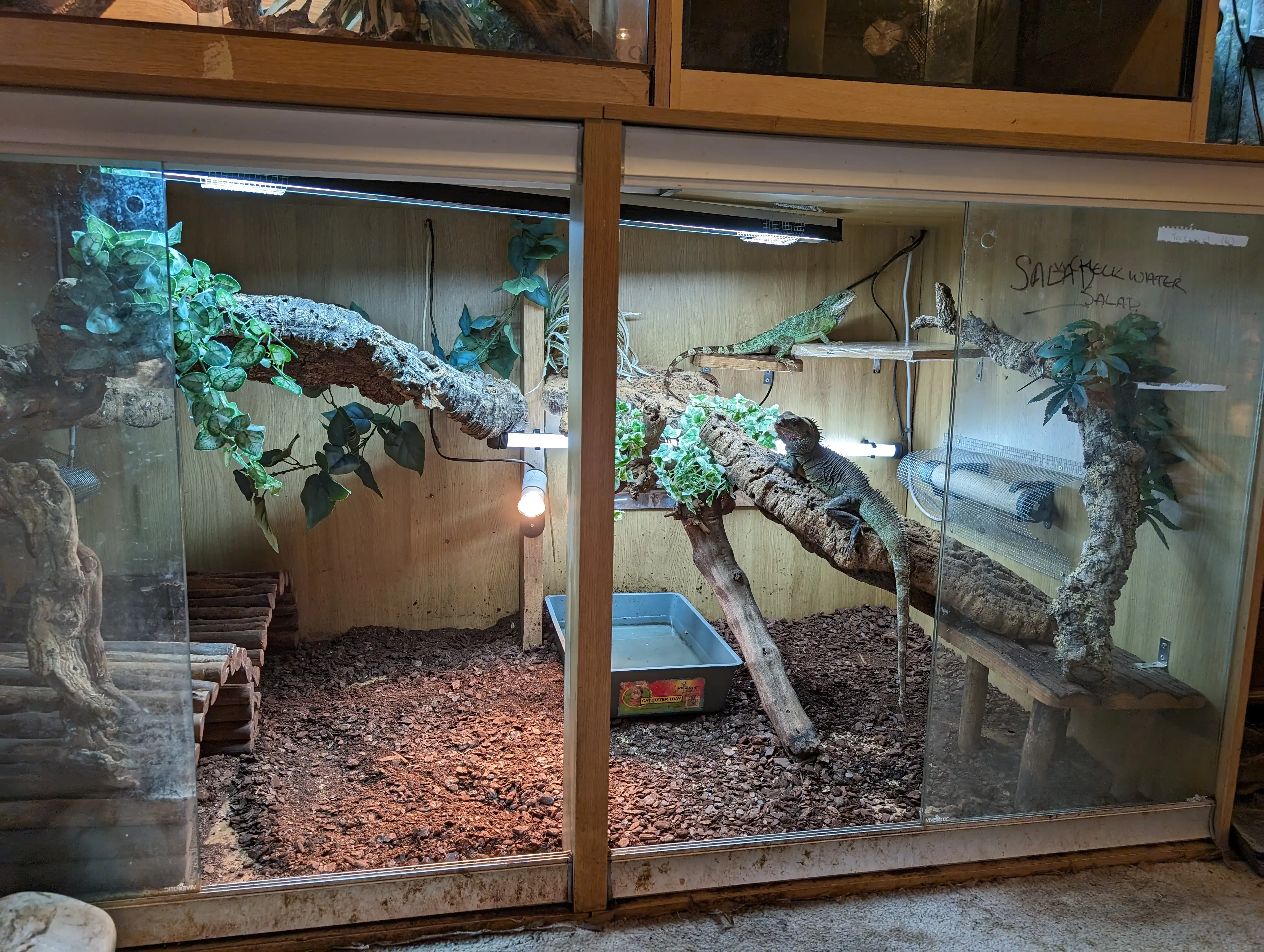 6ft viv for bigger reptile boarding