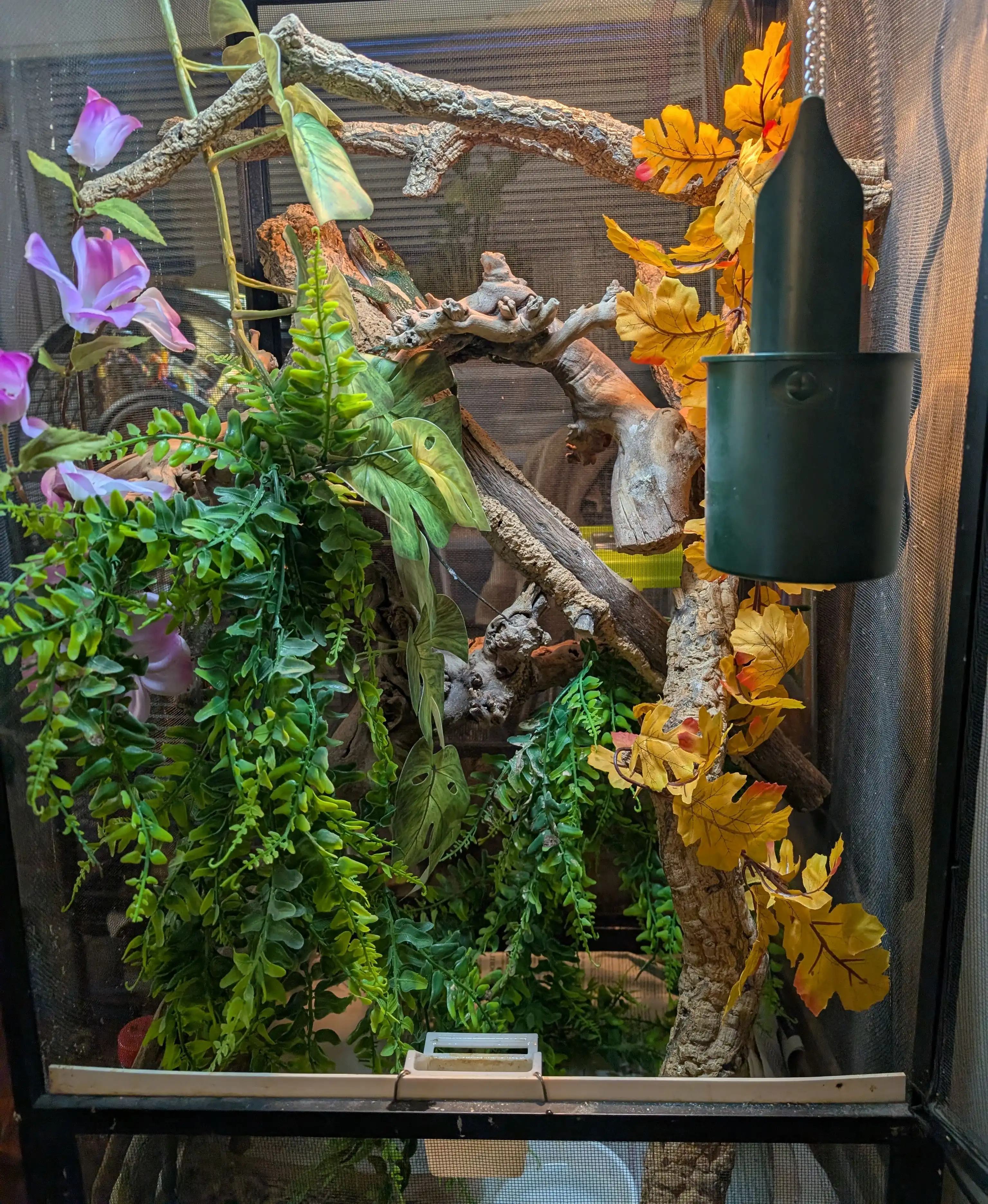 Chameleon Mesh Enclosure