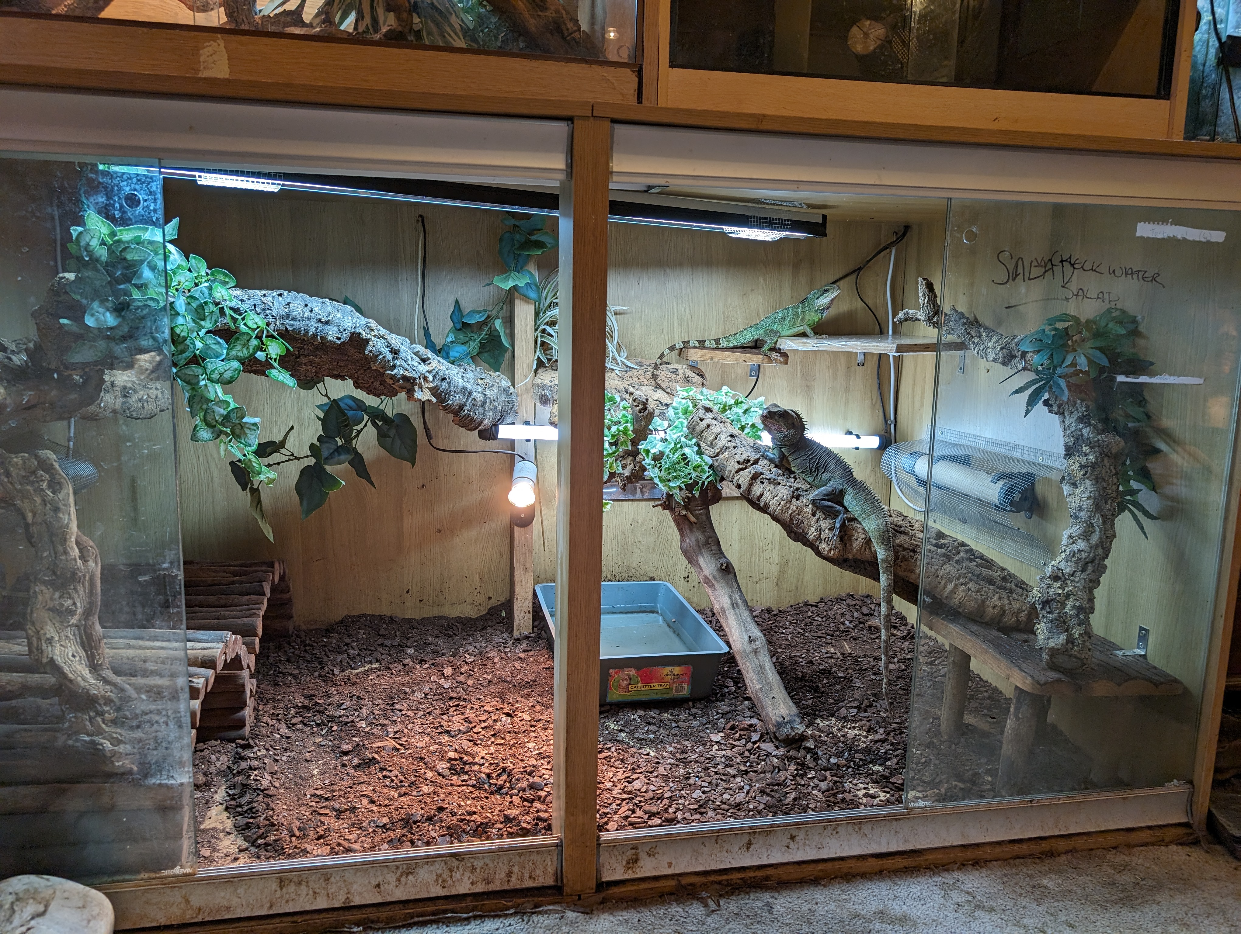 6ft viv for bigger reptile boarding