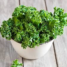 Kale in a white bowl.