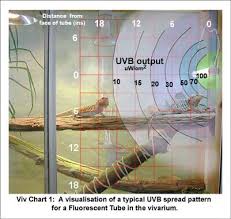 Chart displaying strength of UVB lighting.